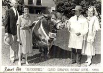 KH Blockbuster Grand Champion Sydney 86